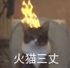 Linux之父：Vibe程式設計是入門程式設計的絕佳方式