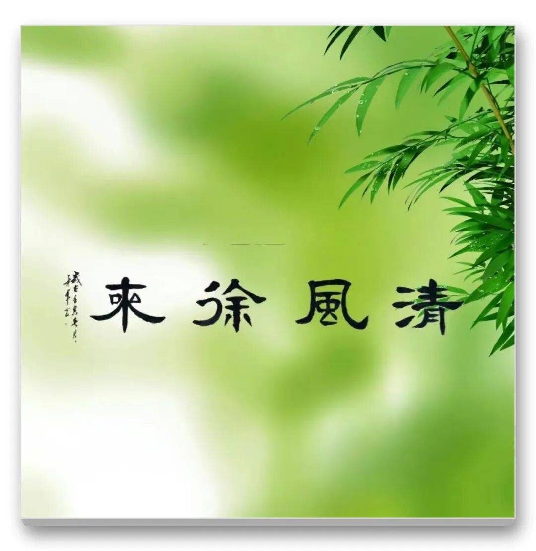 品讀中國書法名家——王才軍