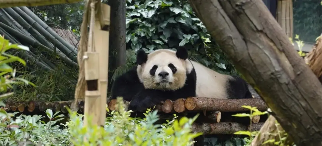 寒假湄旅遊：奔赴一場21℃的自然文化深度邂逅