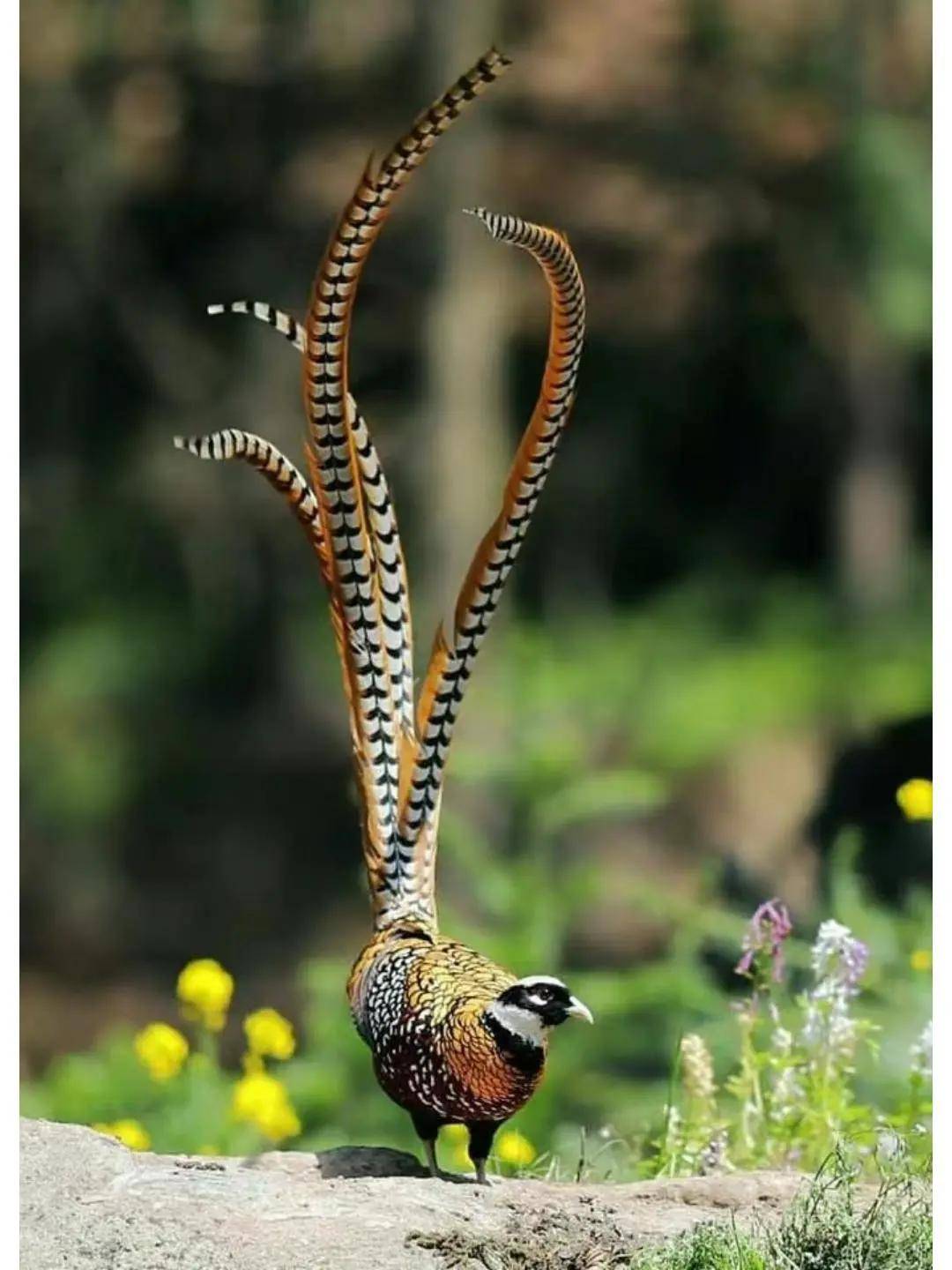 國際旅遊攝影網2026年國內外攝影路線全景指南