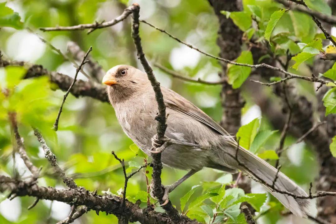 國際旅遊攝影網2026年國內外攝影路線全景指南