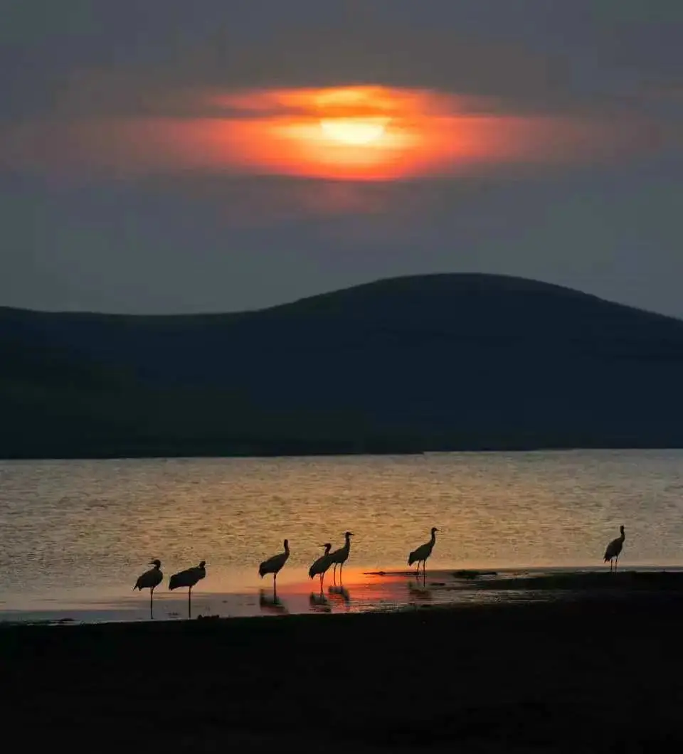 國際旅遊攝影網2026年國內外攝影路線全景指南