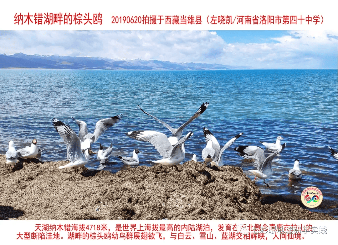 200個地理閱讀和命題的好素材