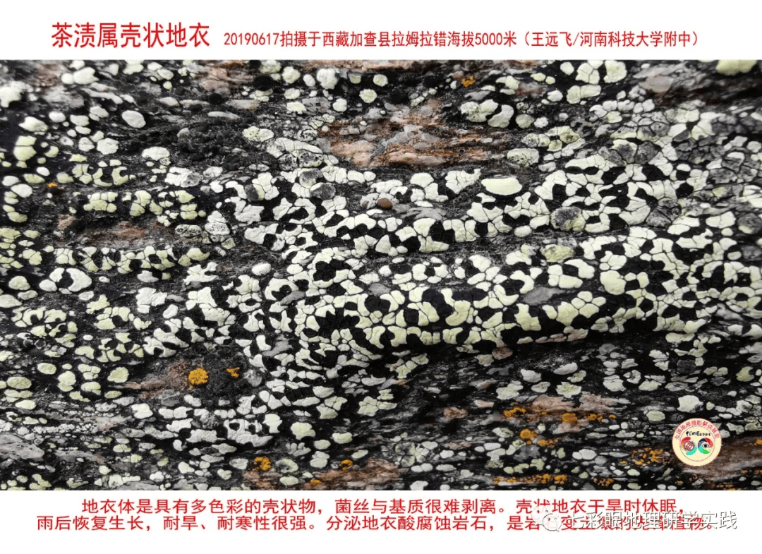 200個地理閱讀和命題的好素材