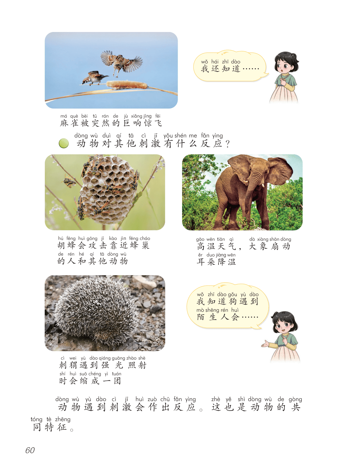 2026青島版一年級科學下冊電子課本(PDF高畫質版新教材)