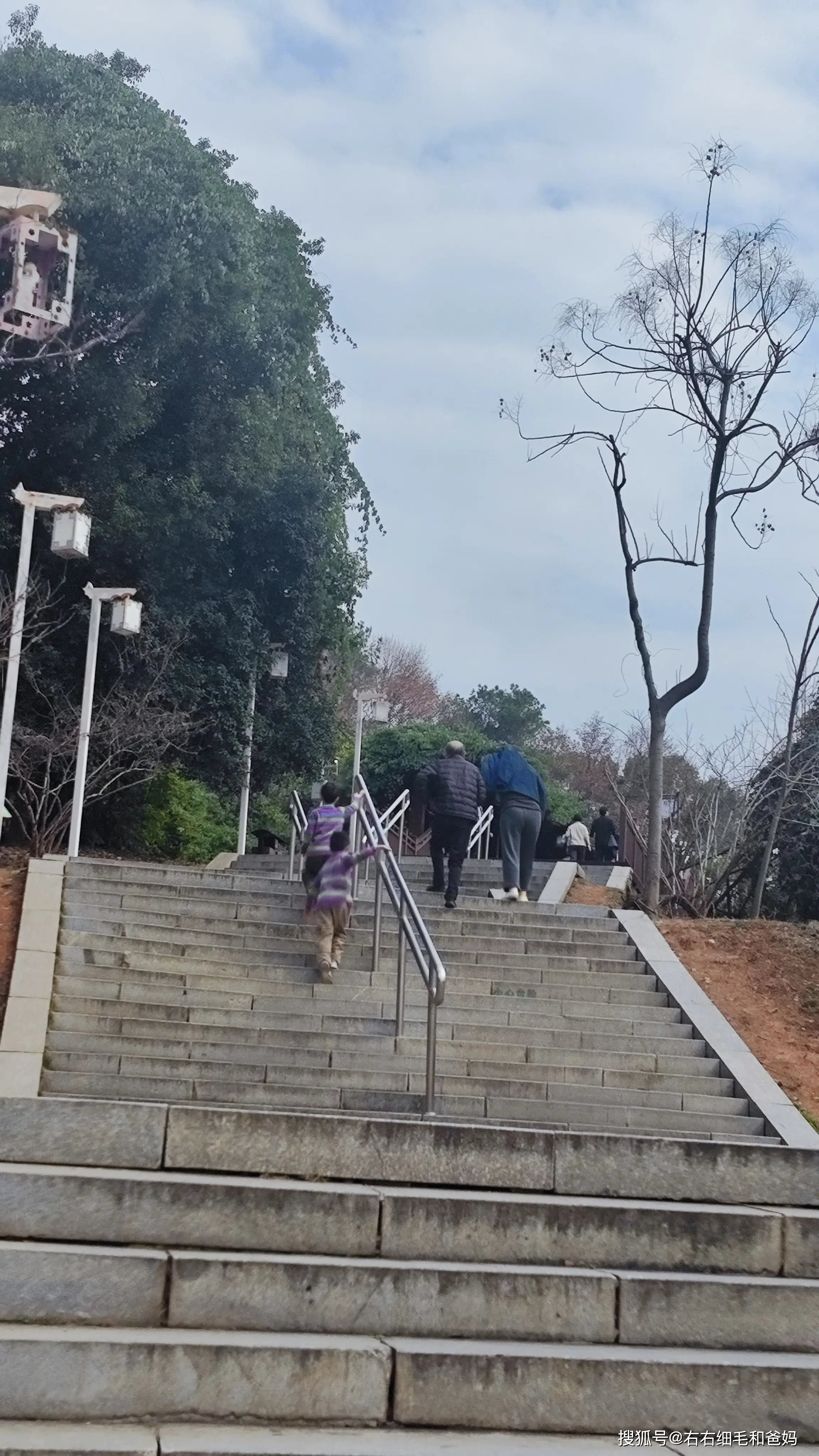 原創跑錯方向的“搶跑”教育：公園裡、公車上，被“逼”學習的5歲娃