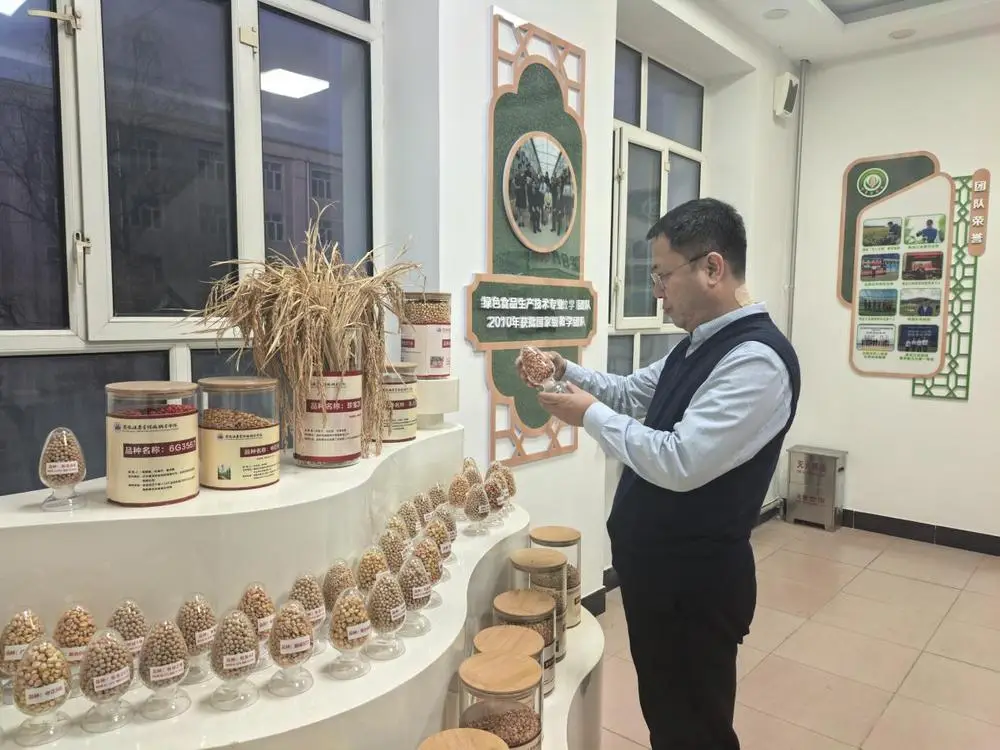 黑龍江：以奮進之筆書寫堅實的教育答卷